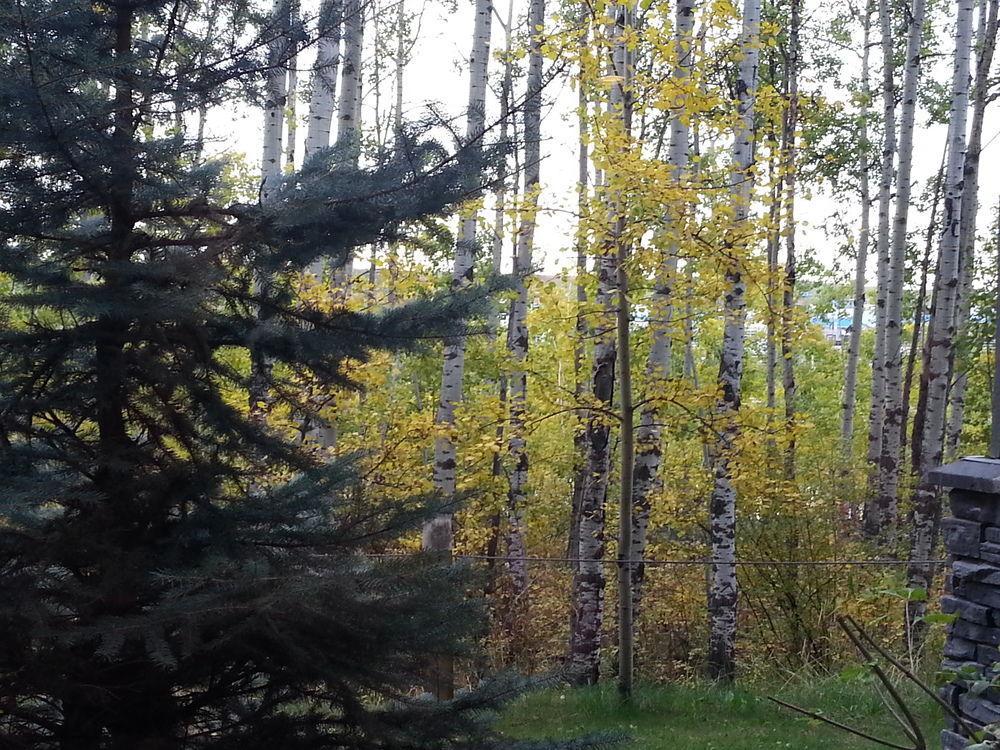 Pinnacle & Suites Aspen