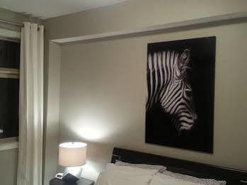 Pinnacle & Suites Aspen